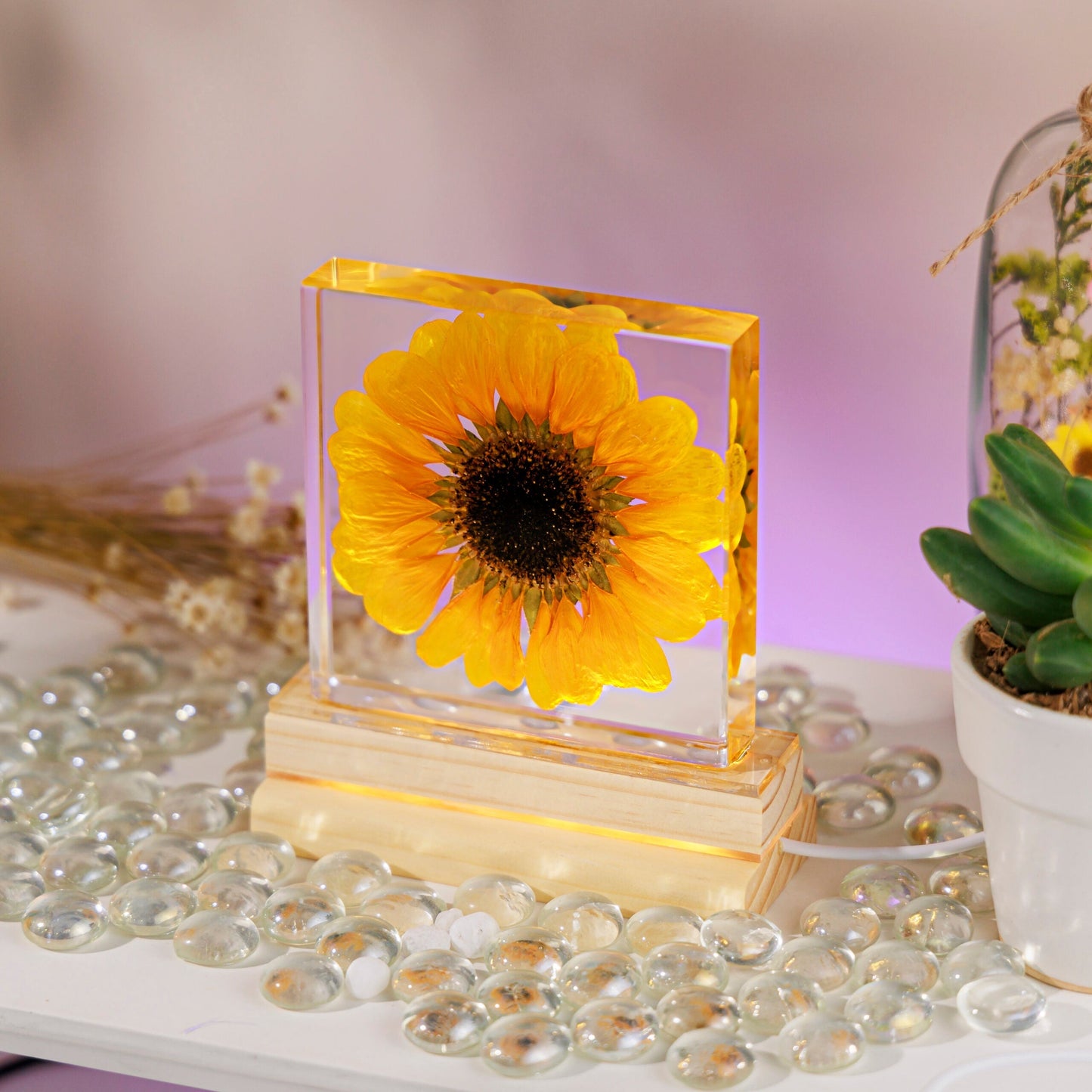 Sunflower Night Light