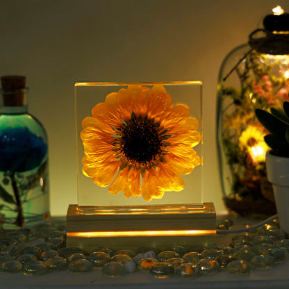 Sunflower Night Light